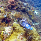 Seriously, just stop buying plastic water bottles. Image: Kathryn Berry
